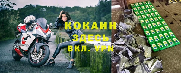 ПСИЛОЦИБИНОВЫЕ ГРИБЫ Алзамай