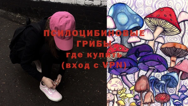 первитин Алексеевка