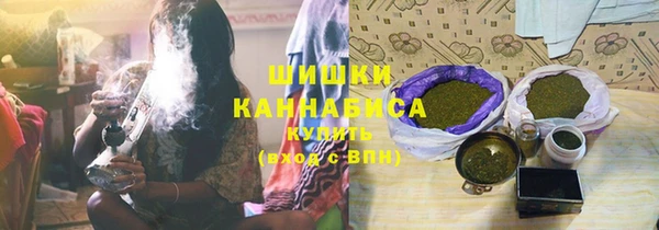 ПСИЛОЦИБИНОВЫЕ ГРИБЫ Алзамай