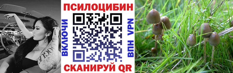 Галлюциногенные грибы ЛСД  Чишмы 